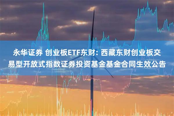 永华证券 创业板ETF东财: 西藏东财创业板交易型开放式指数证券投资基金基金合同生效公告