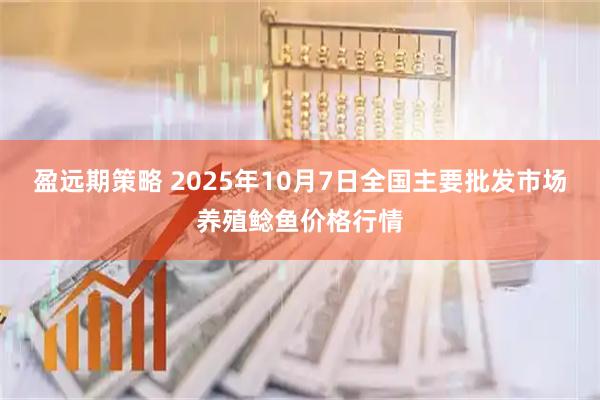 盈远期策略 2025年10月7日全国主要批发市场养殖鲶鱼价格行情