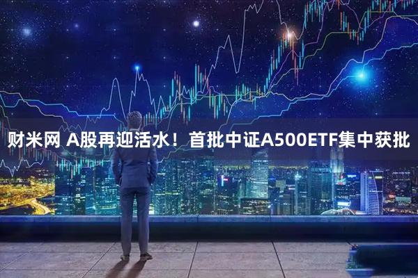财米网 A股再迎活水！首批中证A500ETF集中获批