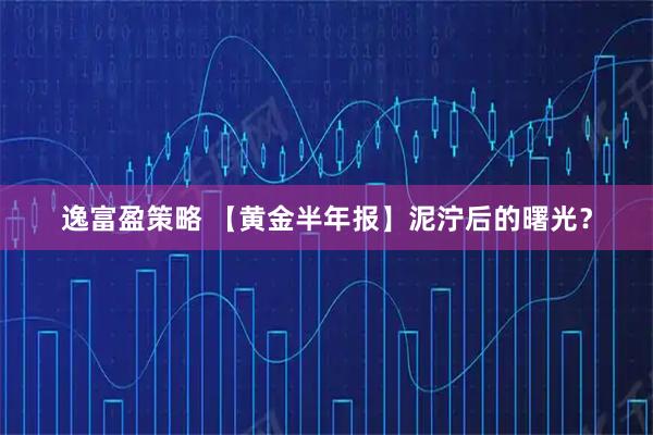 逸富盈策略 【黄金半年报】泥泞后的曙光？